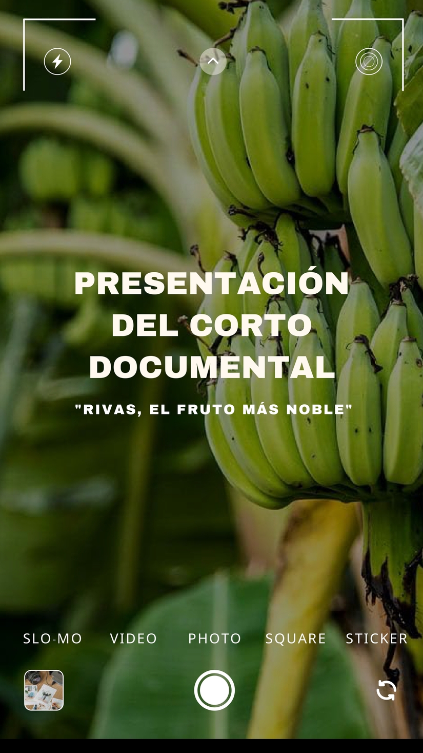 Tu-Story-Dia-de-la-Fotografia-Simple-Blanco--2-comprimido_page-0001