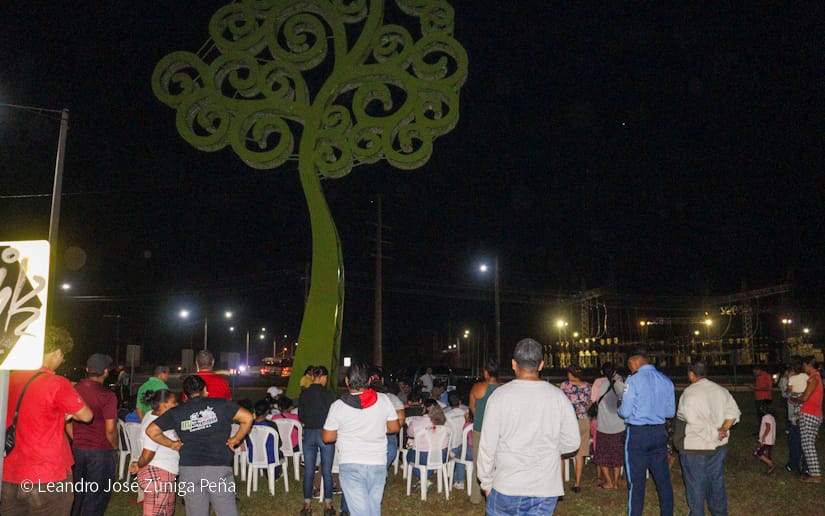 ARBOL-(8)