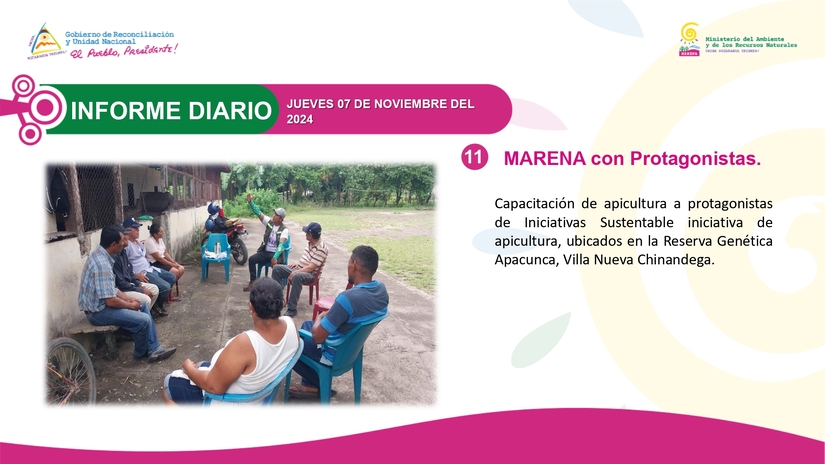 MARENA11