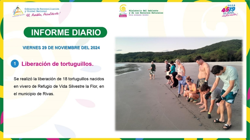 Informe-Fotografico-29-de-Noviembre-del-2024--pptx_page-0001