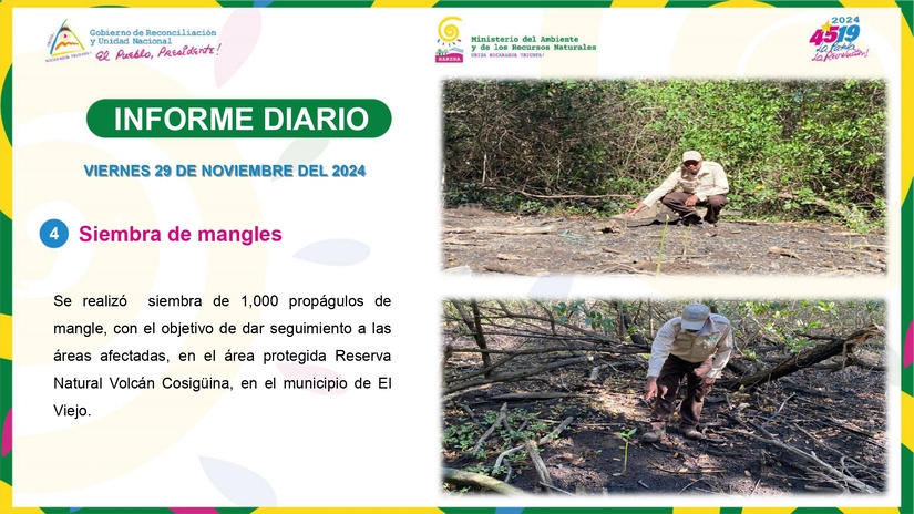 Informe-Fotografico-29-de-Noviembre-del-2024--pptx_page-0004