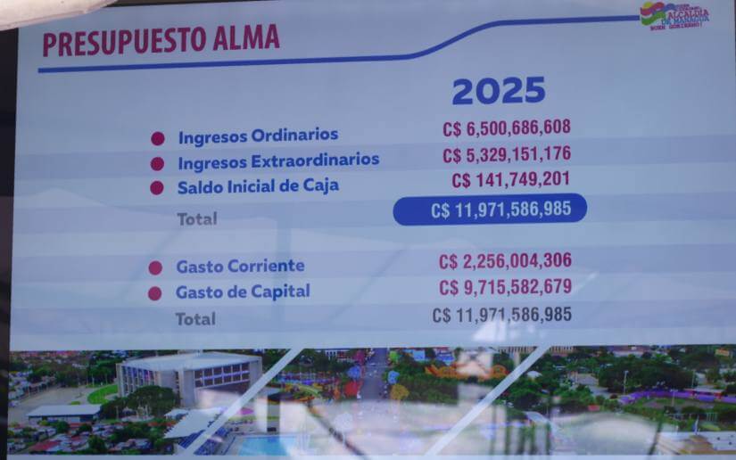 alma-presupuesto2025-7