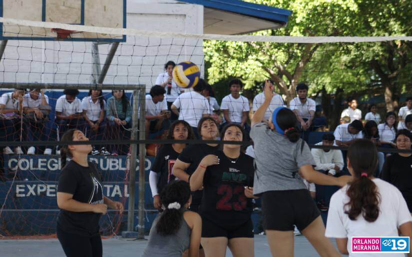VOLEIBOL3