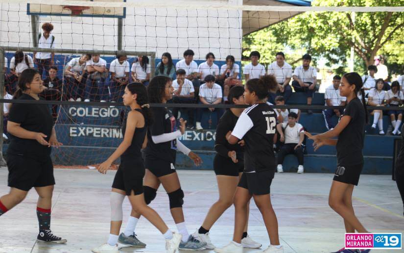 VOLEIBOL4