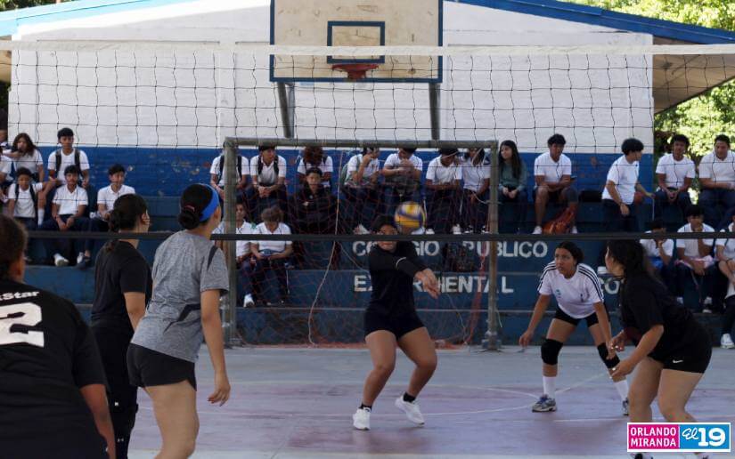 VOLEIBOL6