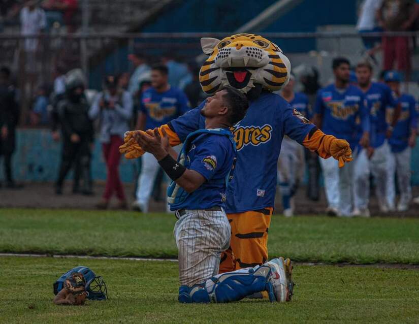 TIGRES