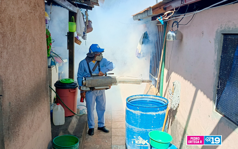 Brigadas-de-Fumigacion-Minsa-5