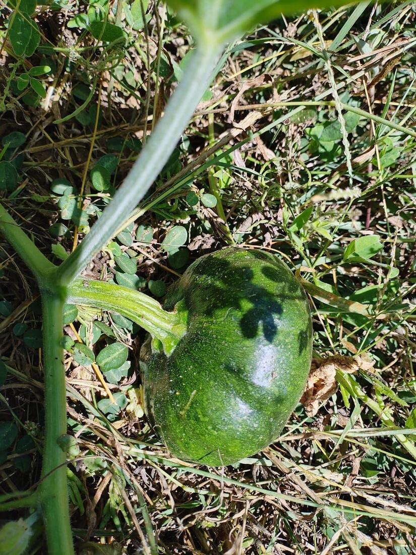 Ministerio-Agropecuario-2