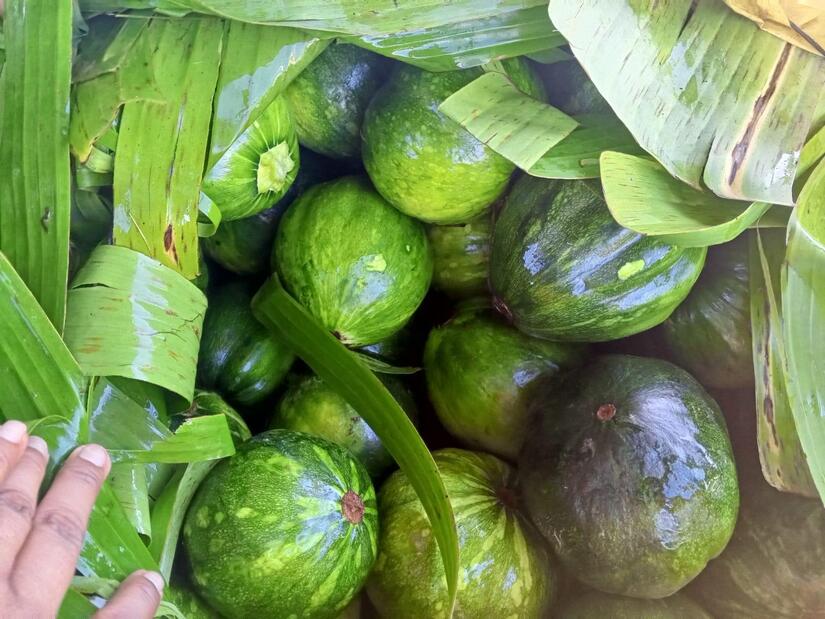 Ministerio-Agropecuario-3