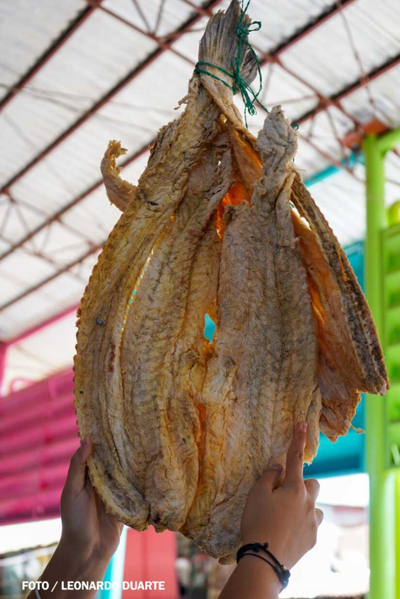 Mercado-Israel-Lewites-11