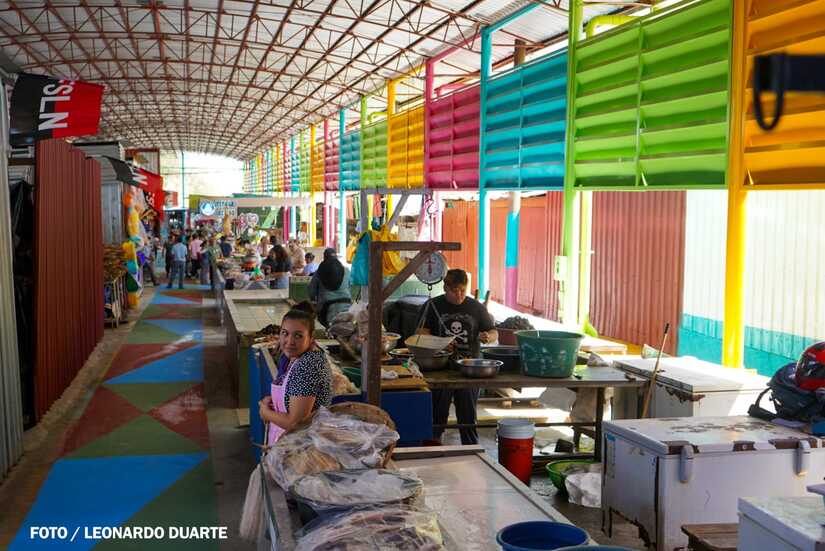 Mercado-Israel-Lewites-13