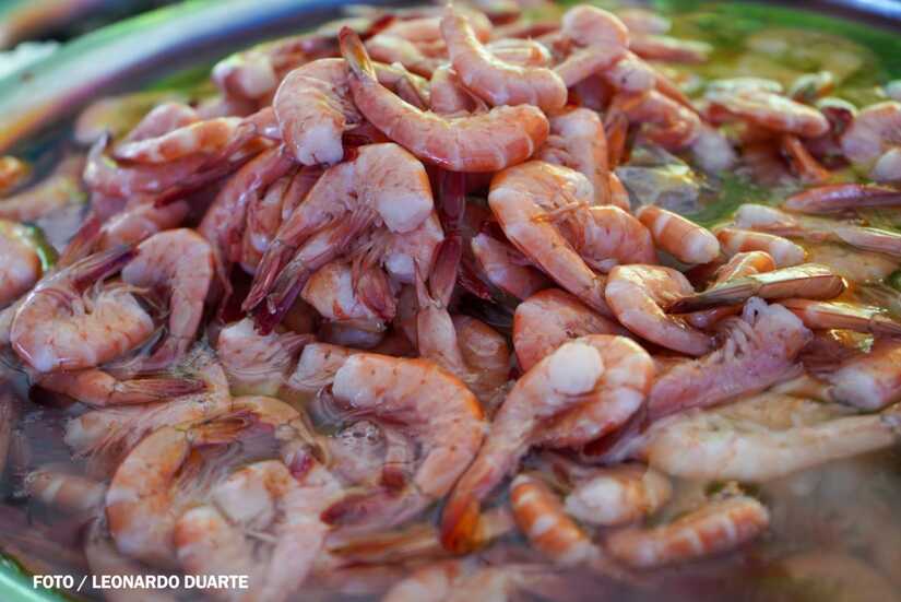 Mercado-Israel-Lewites-2