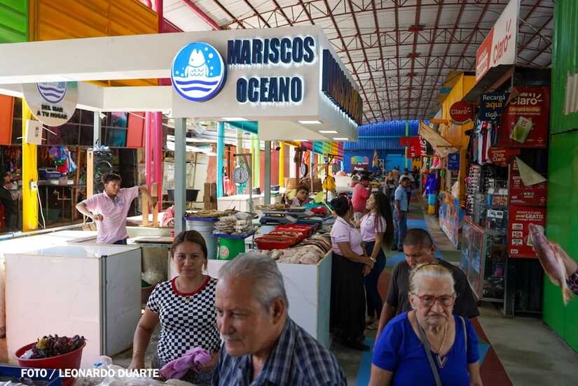 Mercado-Israel-Lewites-6