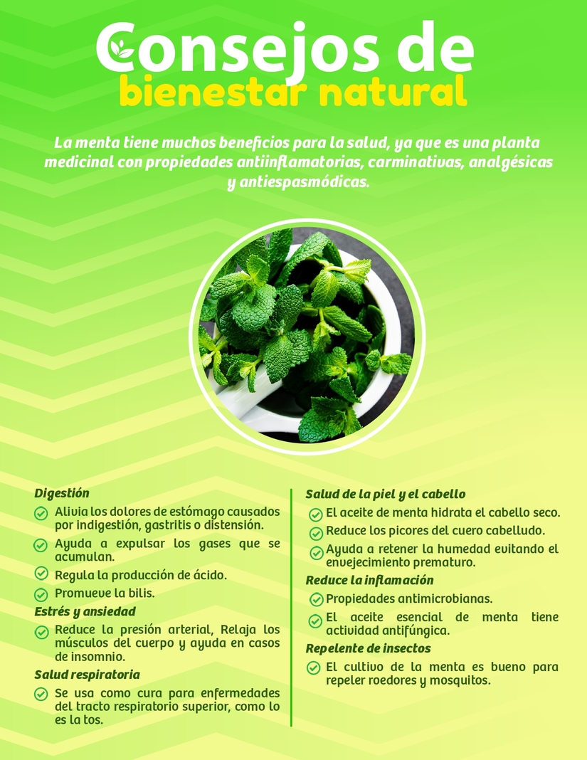 MINISTERIO-PARA-LA-PROMOCION-DE-EMPRENDIMIENTOS---BOLETIN-DEL-31-DE-MARZO-AL-06-DE-ABRIL-(1)_page-0011