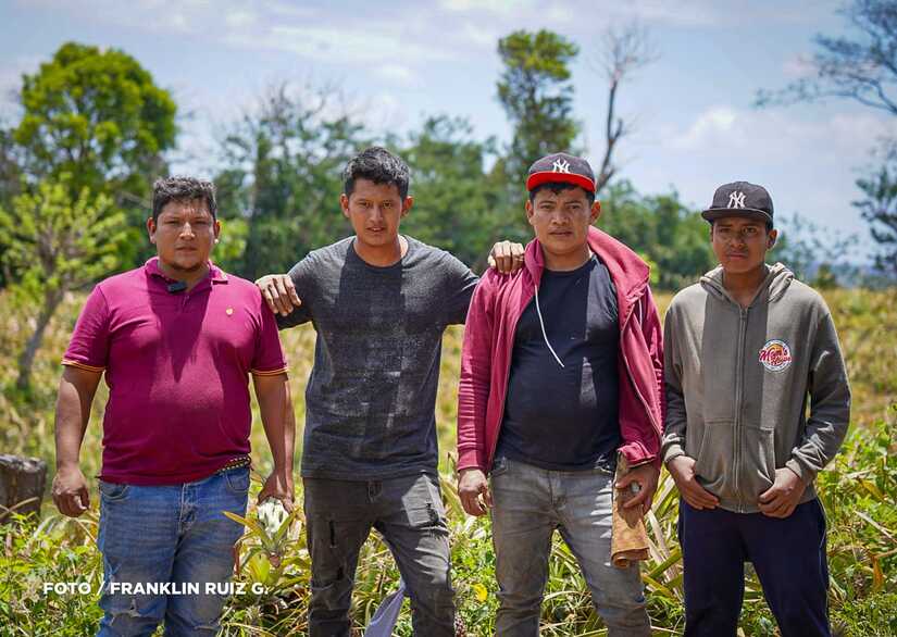 Produccion-de-Pina-en-Nicaragua-19