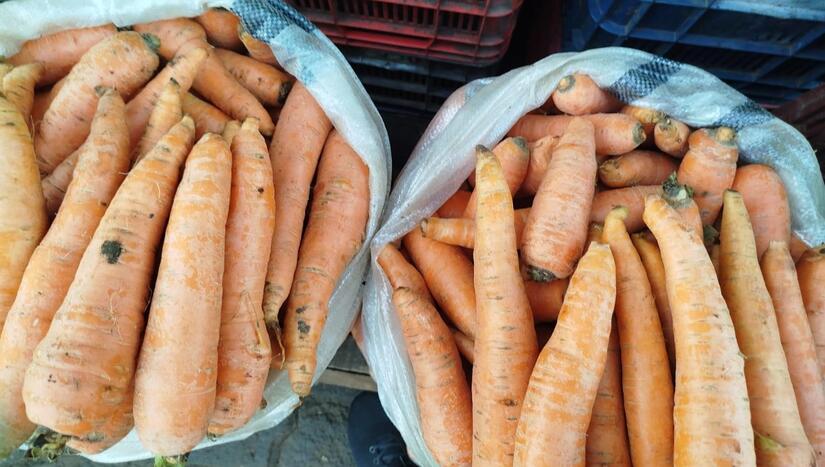 Produccion-de-Zanahoria-en-Nicaragua-2