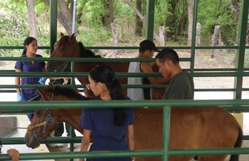 Hospital-Veterinario-(13)