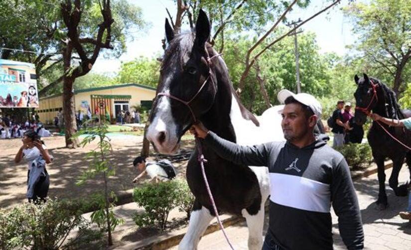 Hospital-Veterinario-(14)