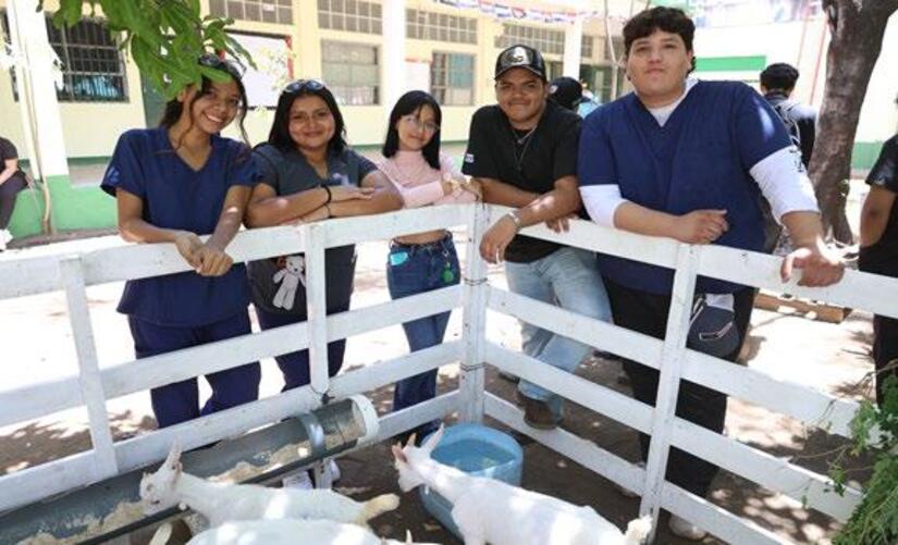 Hospital-Veterinario-(18)