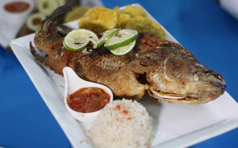 inatec-veranoescuela-7