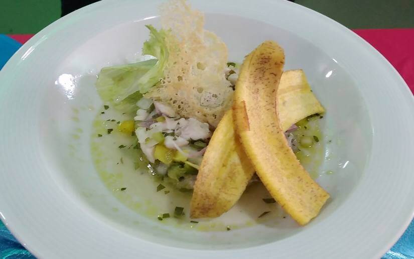 inatec-veranoescuela-8