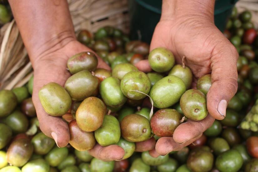 Ministerio-Agropecuario--(1)