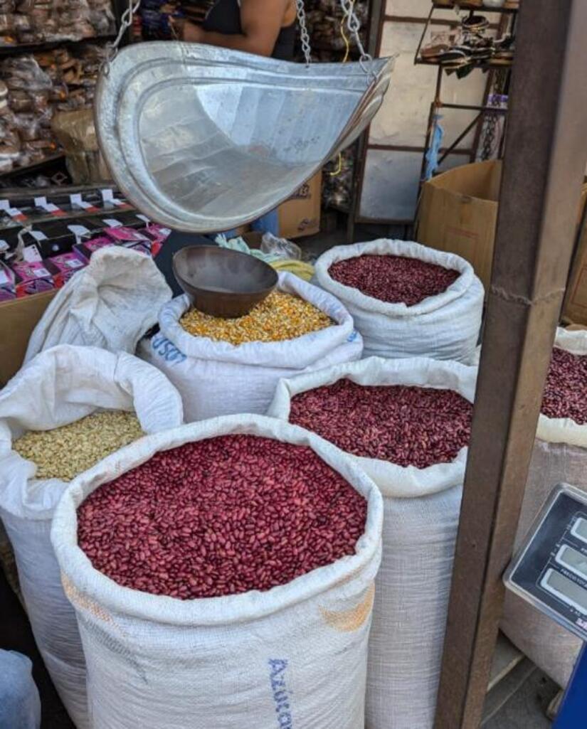 Ministerio-Agropecuario--(11)