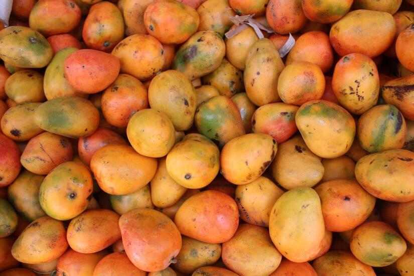 Ministerio-Agropecuario--(3)