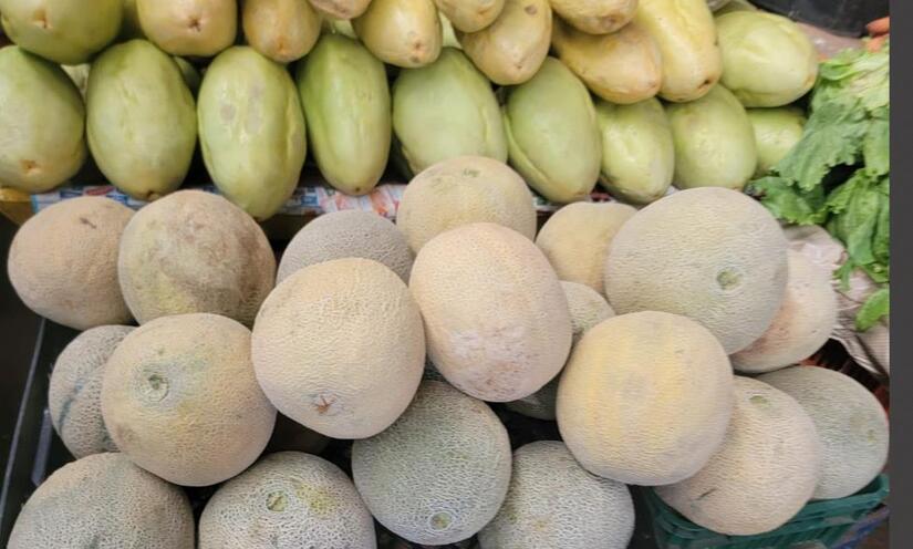 Ministerio-Agropecuario--(4)