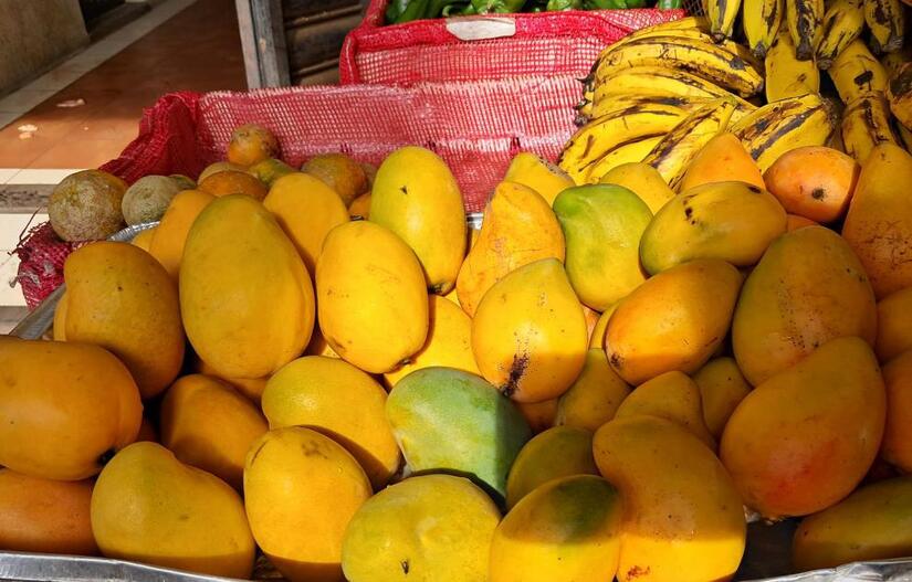 Ministerio-Agropecuario--(5)