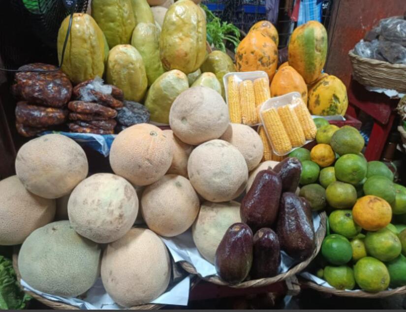 Ministerio-Agropecuario--(7)