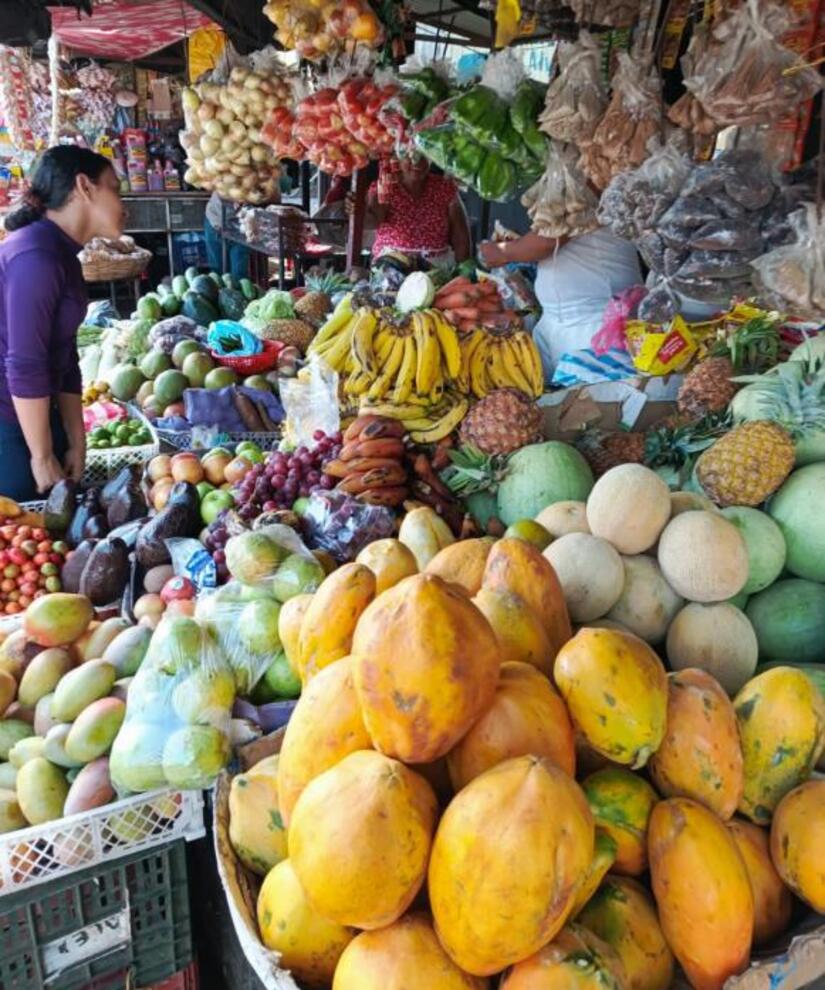 Ministerio-Agropecuario--(8)