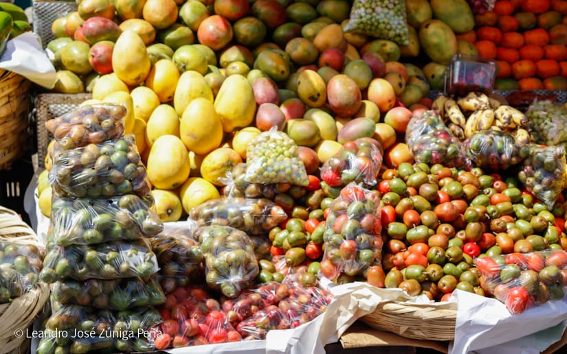 Alcaldia-de-Managua-10