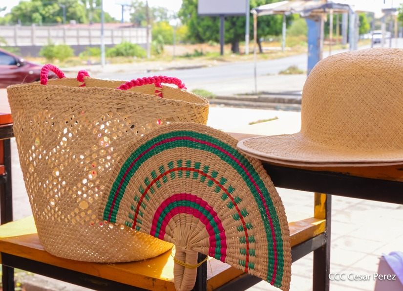 Coleccion-de-Verano-5