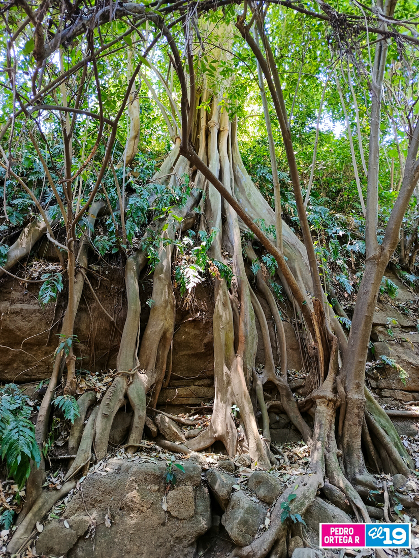 Ticuantepe-Turismo-7