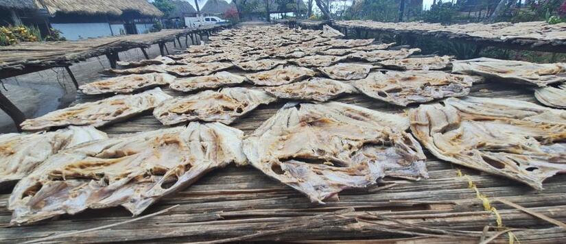 Pescado-Seco-2