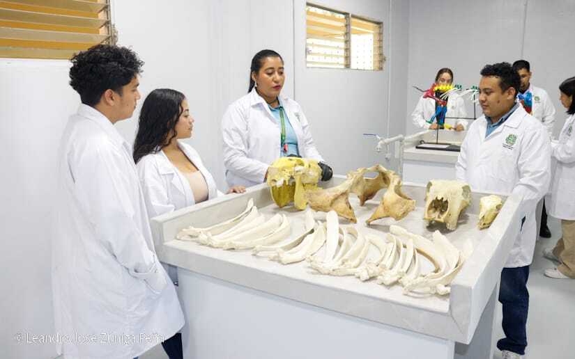 Centro-Universitario-Padre-Camilo-Torres-Restrepo-107