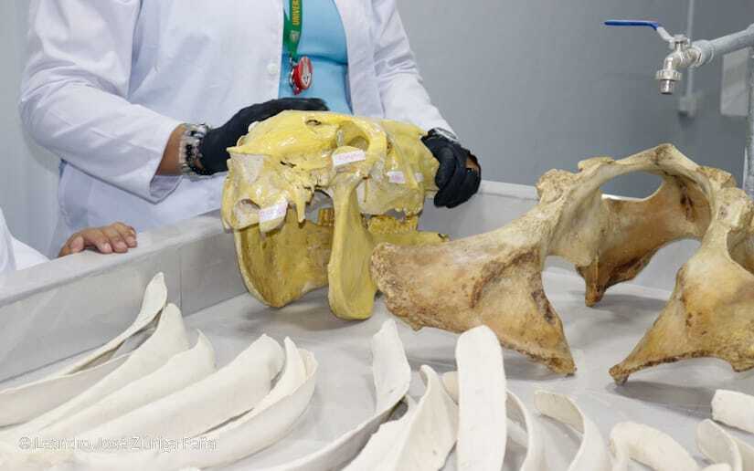 Centro-Universitario-Padre-Camilo-Torres-Restrepo-108