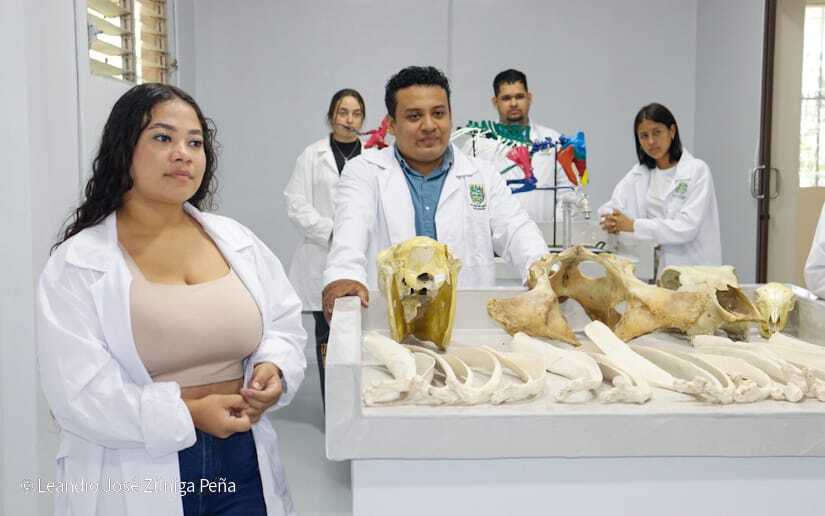 Centro-Universitario-Padre-Camilo-Torres-Restrepo-110