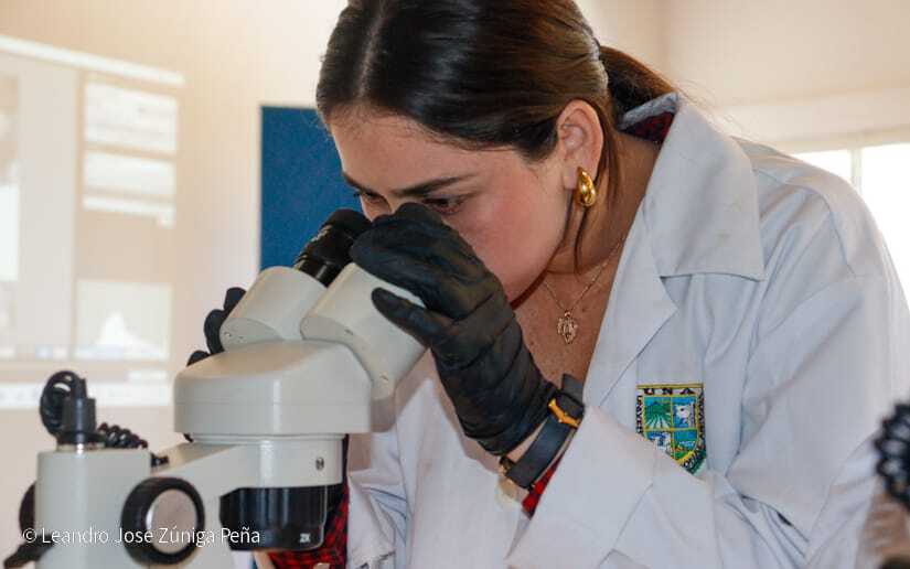 Centro-Universitario-Padre-Camilo-Torres-Restrepo-28