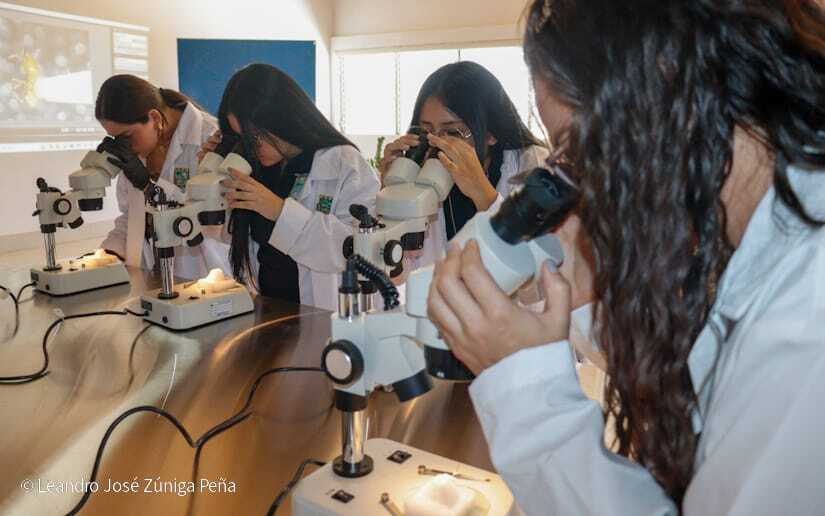 Centro-Universitario-Padre-Camilo-Torres-Restrepo-29