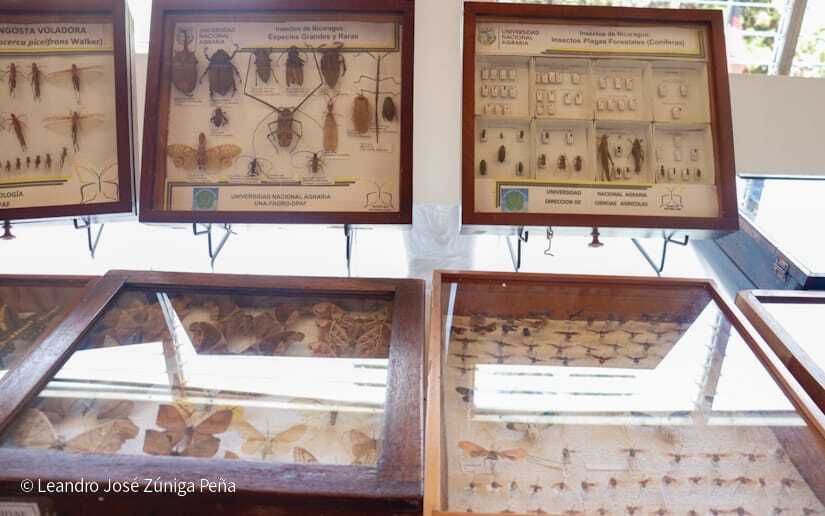 Centro-Universitario-Padre-Camilo-Torres-Restrepo-35