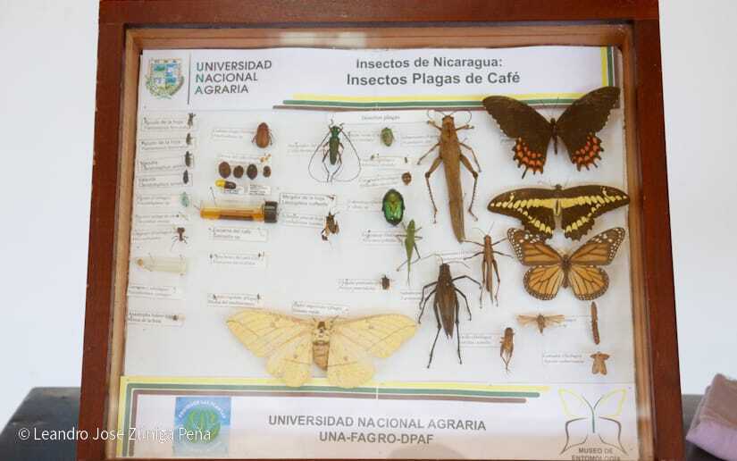 Centro-Universitario-Padre-Camilo-Torres-Restrepo-39