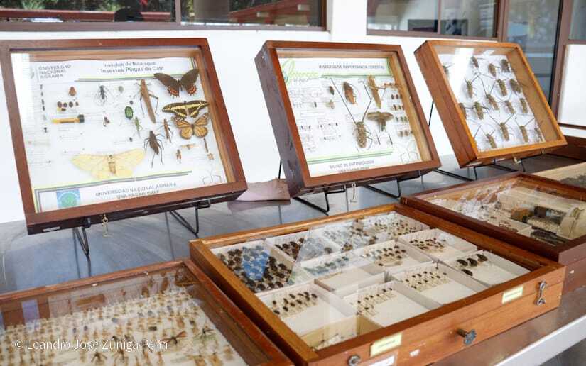 Centro-Universitario-Padre-Camilo-Torres-Restrepo-41