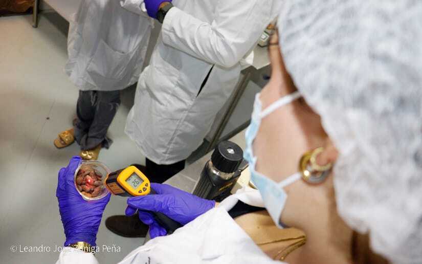 Centro-Universitario-Padre-Camilo-Torres-Restrepo-96