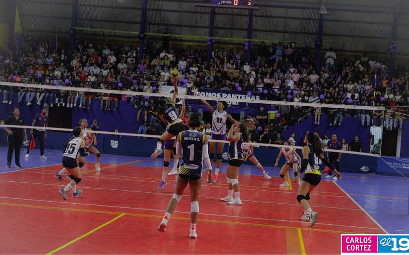 Liga-de-Voleibol-Femenino-de-Primera-Division-(31)