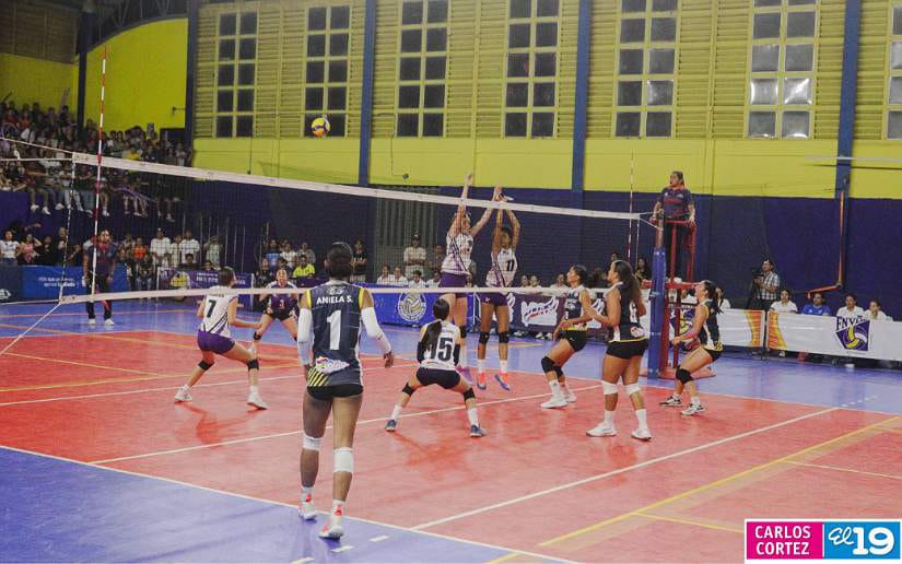 Liga-de-Voleibol-Femenino-de-Primera-Division-(33)