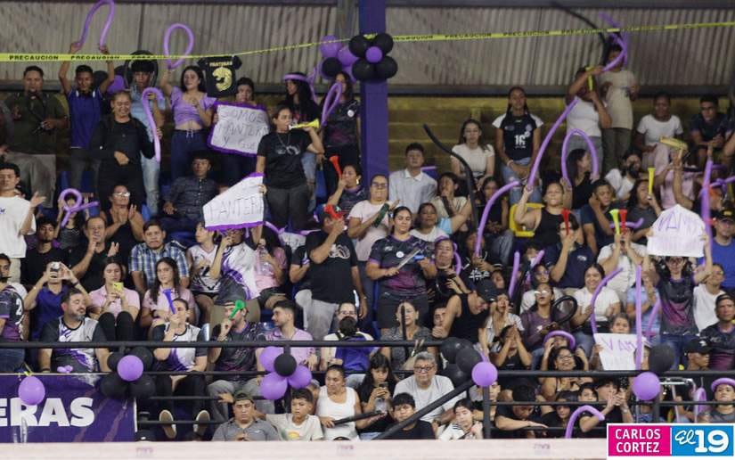 Liga-de-Voleibol-Femenino-de-Primera-Division-(41)