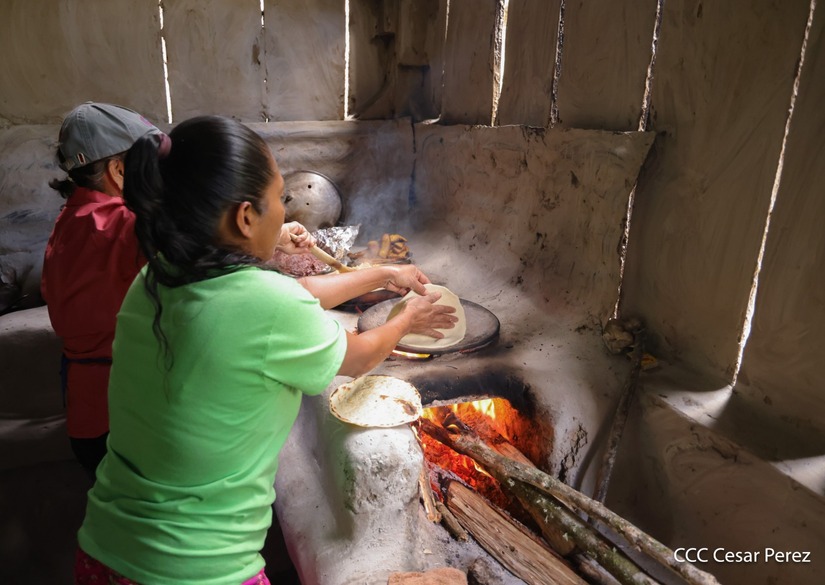 Produccion-de-Cafe-en-Nicaragua-8