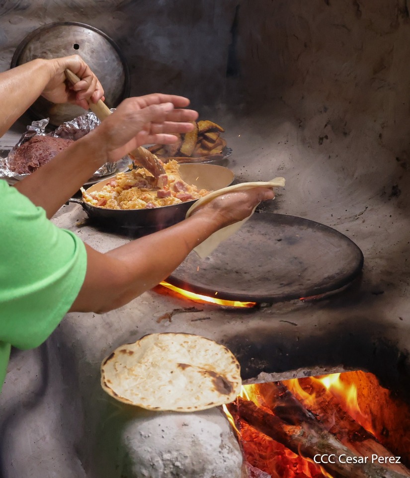 Produccion-de-Cafe-en-Nicaragua-9